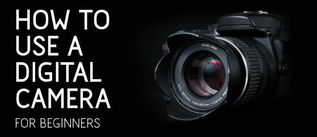 Digital Camera Tips for Beginners