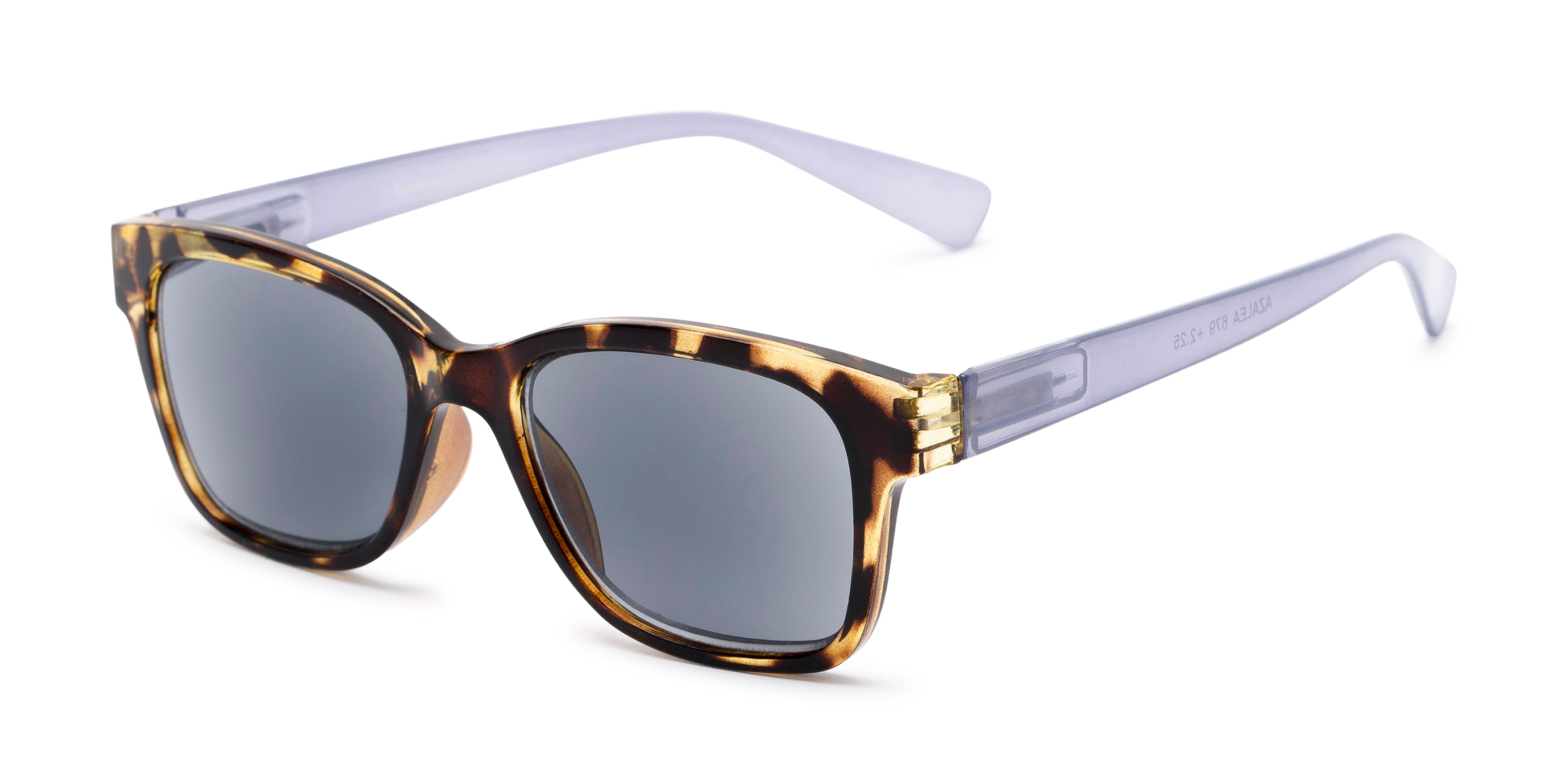 READER'S eyewear老眼鏡 backyard-1_clicexpan