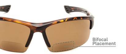 Detail of The Roster Bifocal Reading Sunglasses in Tortoise with Amber