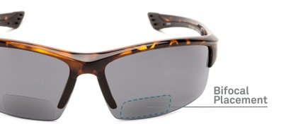 Detail of The Roster Bifocal Reading Sunglasses in Tortoise with Smoke