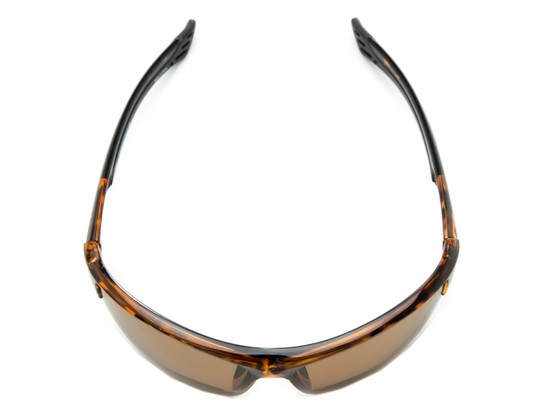 Overhead of The Roster Bifocal Reading Sunglasses in Tortoise with Amber