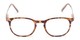 Front of The Screenplay in Light Brown Tortoise