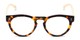 Front of The Timber in Glossy Tortoise/Wood
