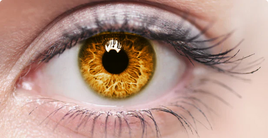 Amber Eyes: Rarity, Causes & Best Reading Glasses Frames