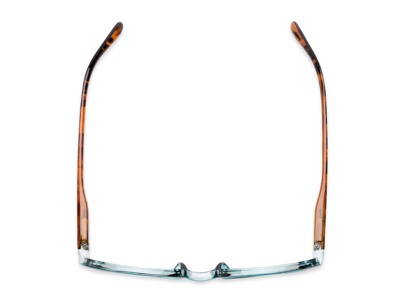 Reading Glasses - The Dandelion - Fully Magnified - Image 4