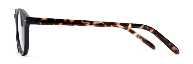 Reading Glasses - The Dandelion - Fully Magnified - Image 3