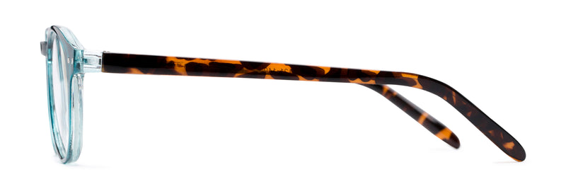 Reading Glasses - The Dandelion - Fully Magnified - Image 3