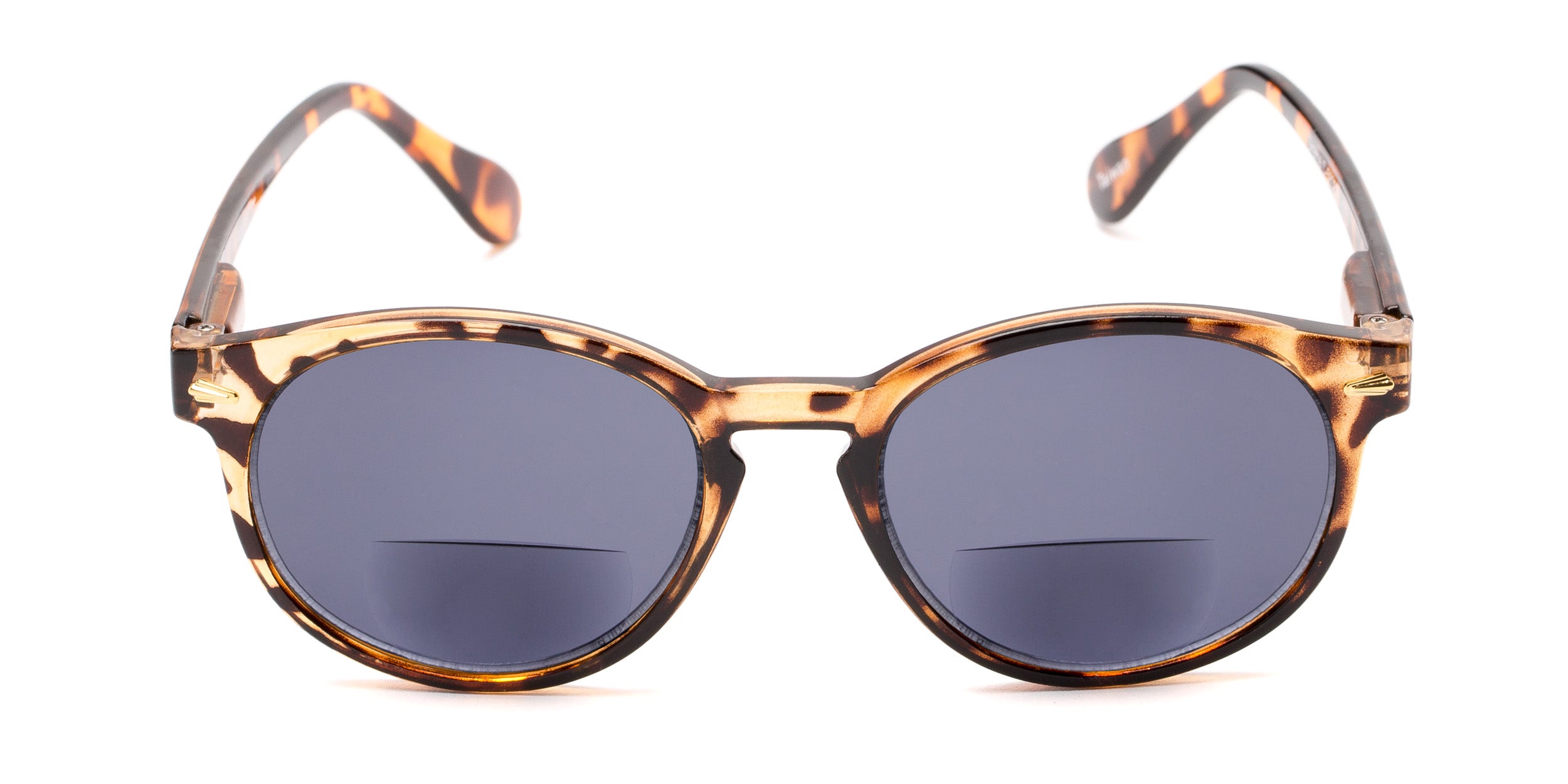 Bifocal style Reading Glasses and Sunglasses Readers
