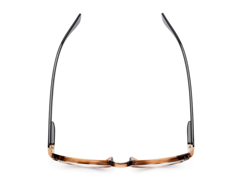 The Ivy League Bifocal