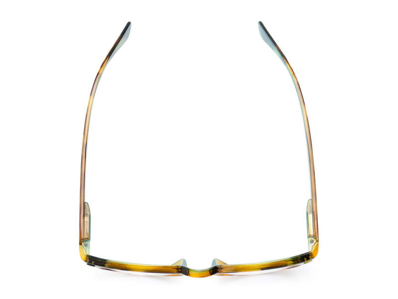 The Ivy League Bifocal