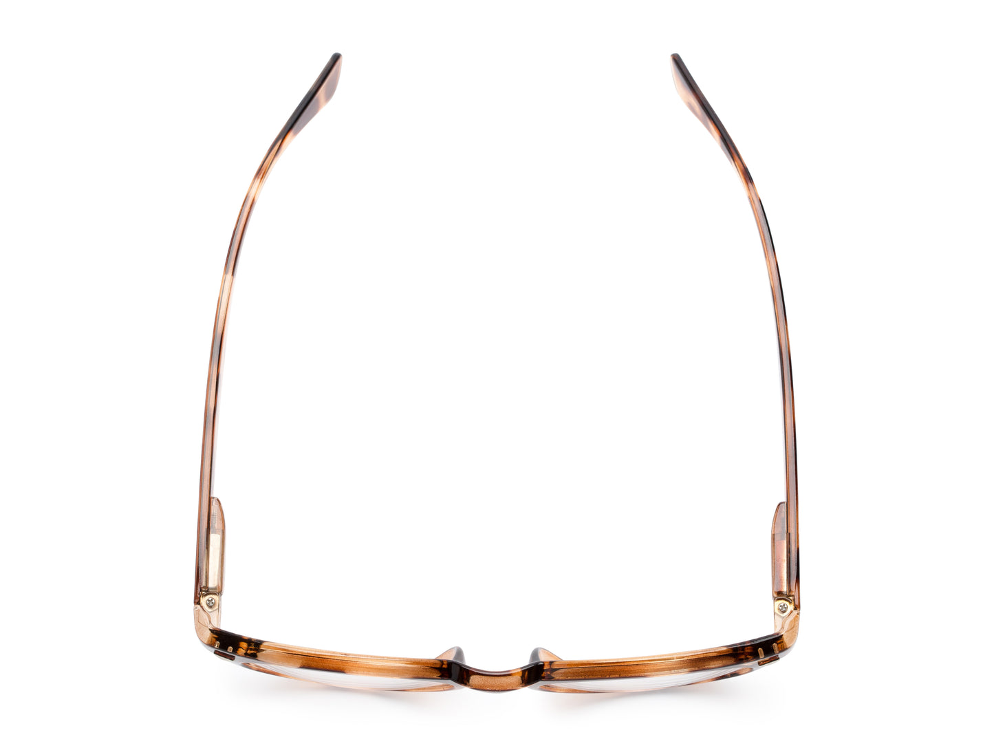 The Ivy League Bifocal