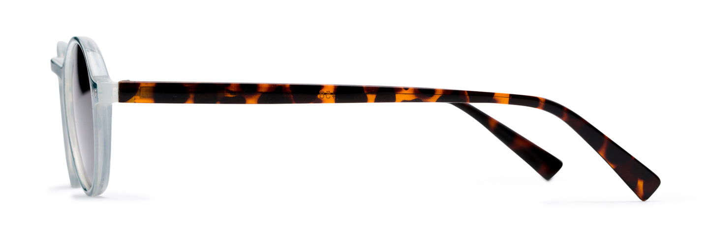 The Loft Reading Sunglasses