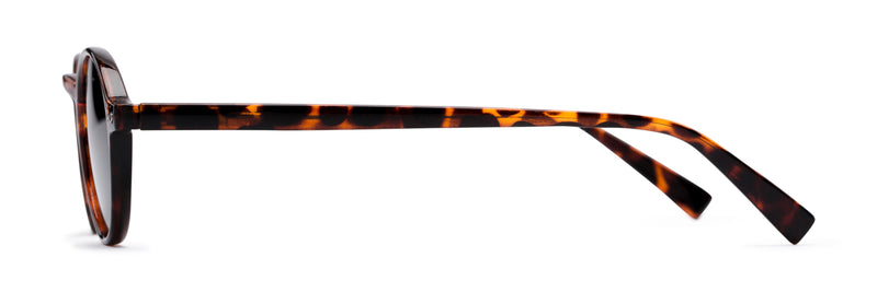 The Loft Reading Sunglasses