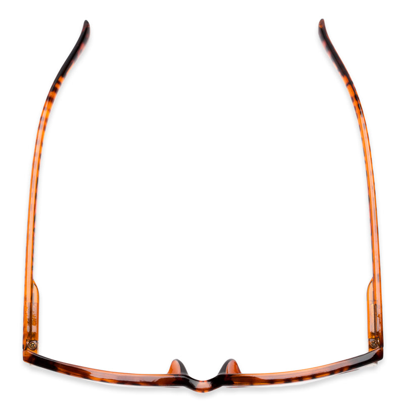 The Williamsburg Bifocal