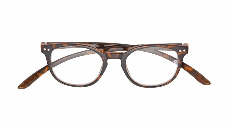 The James, Man, Shiny Tortoise, Size: