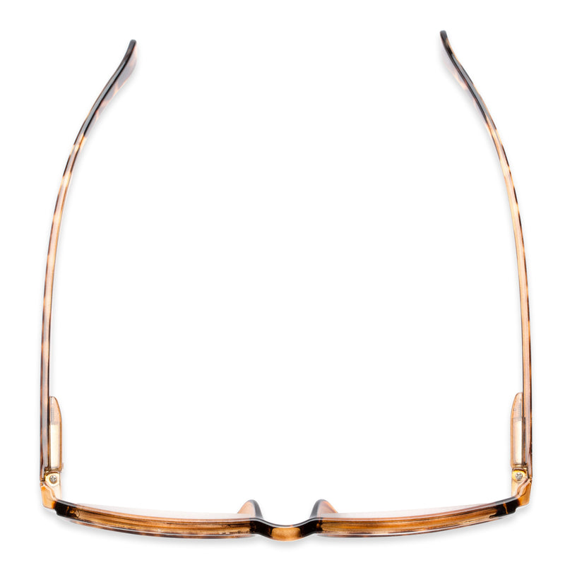 The Pike Place Blue-Violet Light Reader