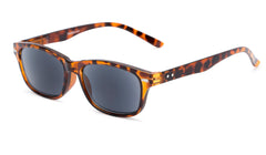 The Key West Reading Sunglasses
