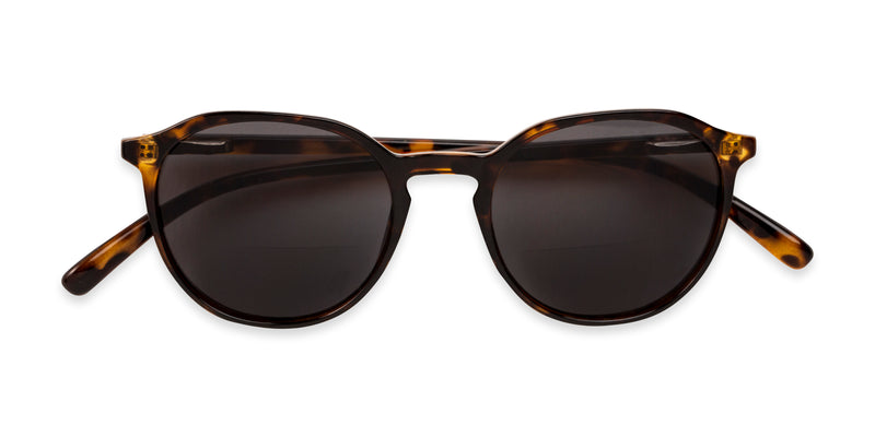 Reading Sunglasses - The Wyatt Bifocal-Style Reading Sunglasses - Bifocal - Image 5