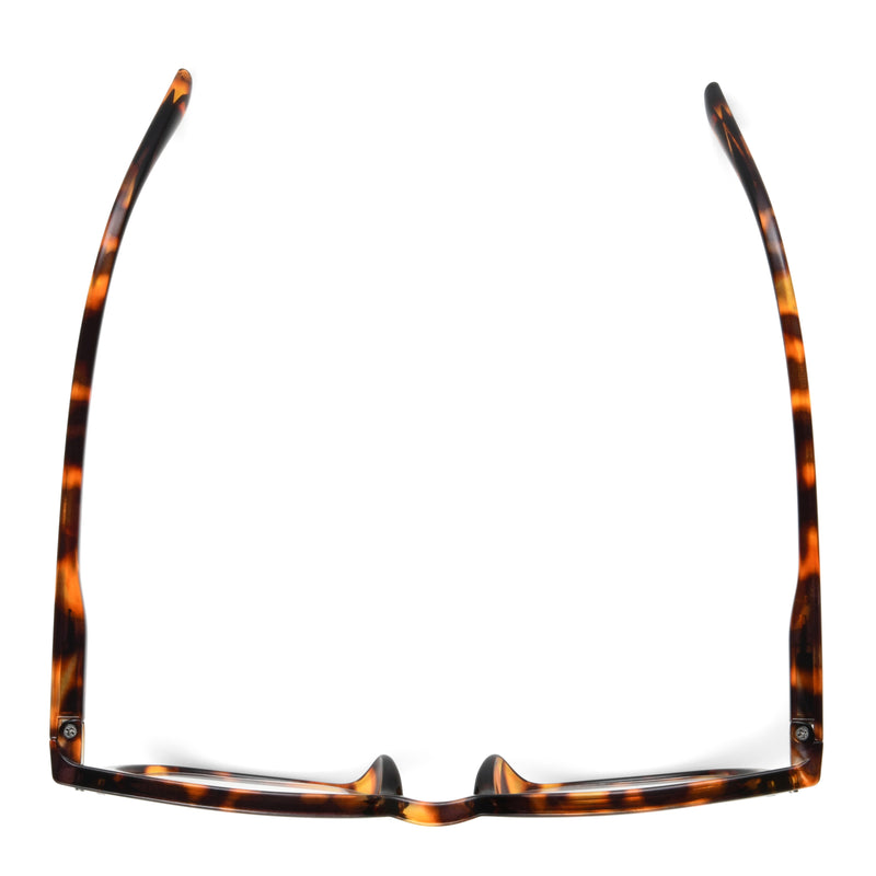 Reading Glasses - The Emil - Fully Magnified - Image 4
