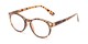 Angle of The Actor Bifocal in Dark Brown Tortoise, Women's and Men's Round Reading Glasses
