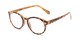 Angle of The Actor Bifocal in Light Brown Tortoise, Women's and Men's Round Reading Glasses