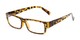 Angle of The Althorpe in Tan Tortoise, Women's and Men's Rectangle Reading Glasses
