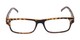 Front of The Anchor Detachable Neck Cord Reader in Tortoise
