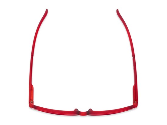 Overhead of The Anchor Detachable Neck Cord Reader in Red