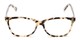 Front of The Astor Signature Reader in Tortoise/Clear