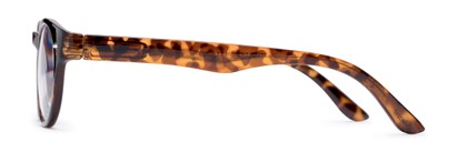 Side of The Birch Multifocal Reader in Glossy Tortoise