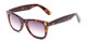 Angle of The Cancun Reading Sunglasses in Tortoise with Smoke, Women's and Men's Retro Square Reading Sunglasses