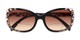 Folded of The Cassia Bifocal Reading Sunglasses in Black Leopard with Amber