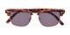 Folded of The Cayman Reading Sunglasses in Tortoise/Gold with Smoke