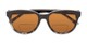Folded of The Cecily Bifocal Reading Sunglasses in Black/Tortoise with Amber