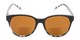 Front of The Cecily Bifocal Reading Sunglasses in Black/Tortoise with Amber
