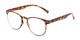 Angle of The Chatham Flexible Bifocal in Light Tortoise, Women's and Men's Round Reading Glasses