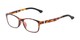 Angle of The Colt in Tortoise, Women's and Men's Retro Square Reading Glasses