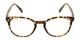 Front of The Cyrus Bifocal in Matte Tortoise