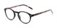 Angle of The Dandelion in Matte Black/Tortoise, Women's and Men's Round Reading Glasses