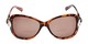 Front of The Delia Bifocal Reading Sunglasses in Tortoise with Amber