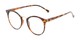 Angle of The Dewey in Tortoise/Gold, Women's and Men's Round Reading Glasses