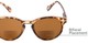 Detail of The Drama Bifocal Reading Sunglasses in Dark Tortoise with Amber