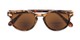 Folded of The Drama Bifocal Reading Sunglasses in Dark Tortoise with Amber