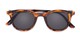 Folded of The Easterday Reading Sunglasses in Tortoise/Grey with Smoke