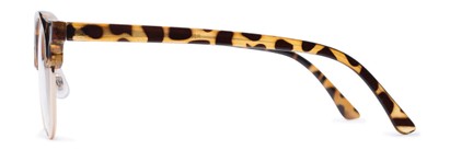 Side of The Eclair in Tortoise