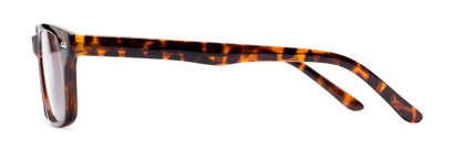 Side of The Ernest in Tortoise