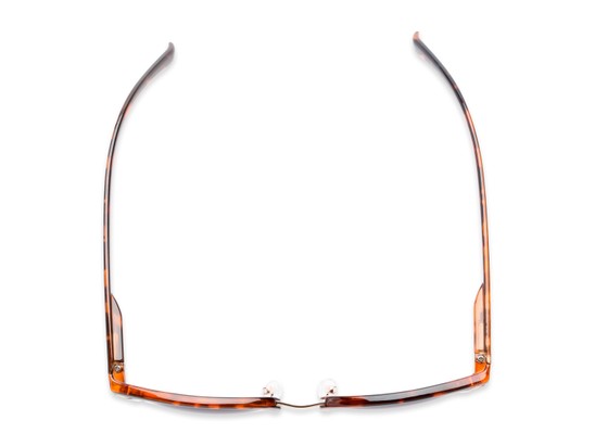 Overhead of The Everglade Bifocal Reading Sunglasses in Tortoise with Smoke