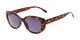 Angle of The Firefly Reading Sunglasses in Brown Tortoise with Smoke, Women's Oval Reading Sunglasses