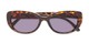 Folded of The Firefly Reading Sunglasses in Brown Tortoise with Smoke