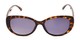 Front of The Firefly Reading Sunglasses in Brown Tortoise with Smoke